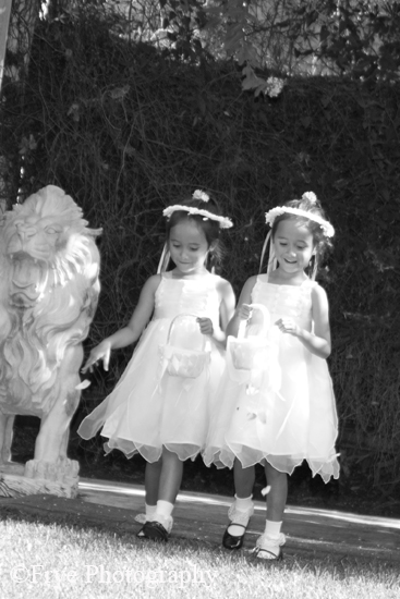 IMG_0053_bw