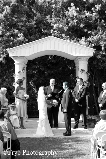 IMG_0087_bw