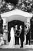 IMG_0127_bw