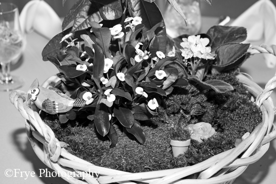 BW_0018