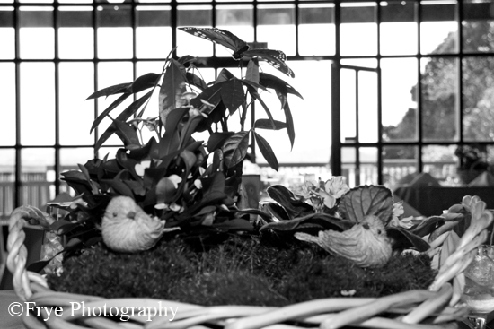 BW_0019