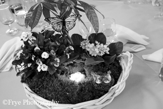 BW_0658